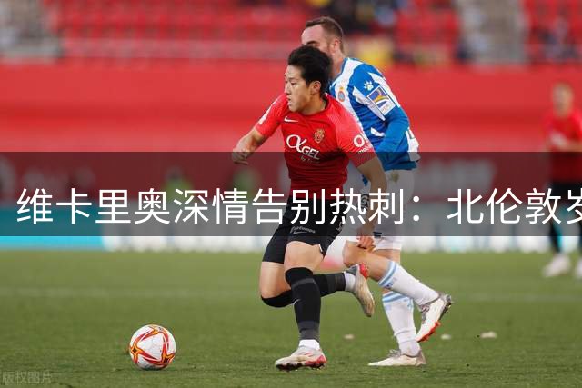 维卡里奥深情告别热刺：北伦敦岁月永驻心间